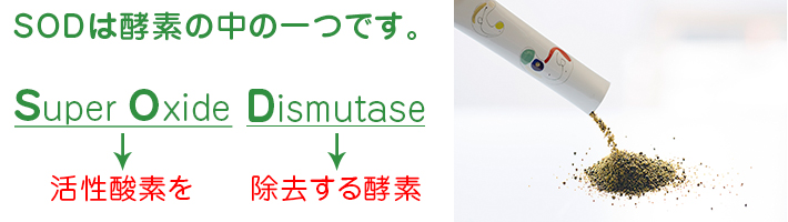 SODは酵素の中の一つです