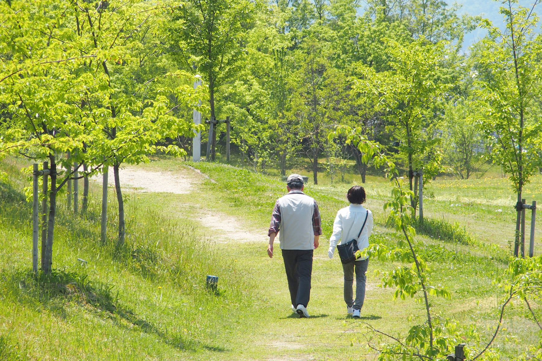 健康セミナーのイメージ画