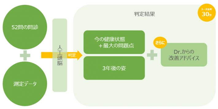 ドクターセルフチェックの全体像